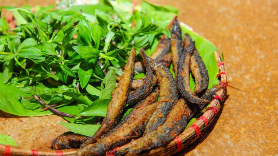 loai-ca-sam-nuoc
