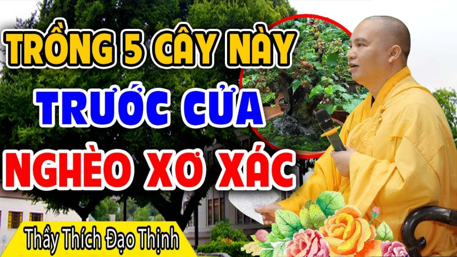 cay-coi