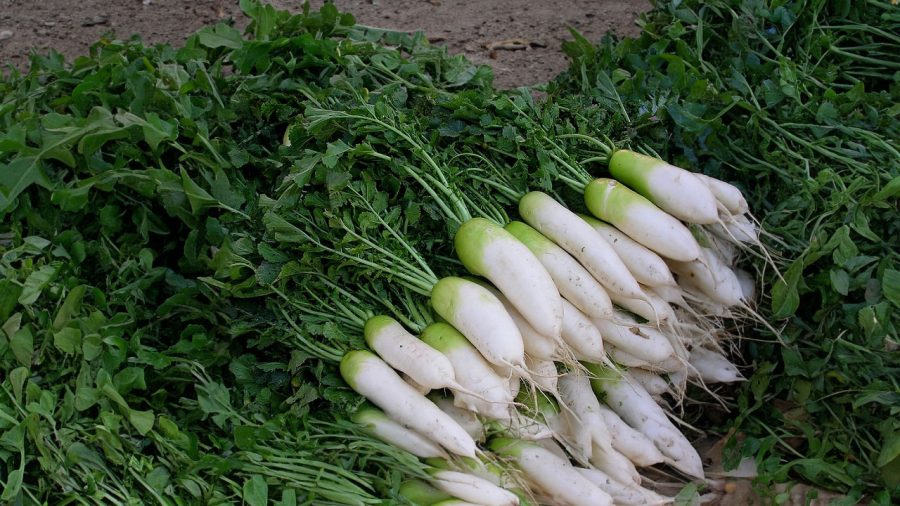 ua-cai-bo-phan-vut-di
