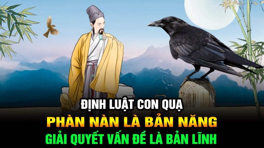 dinh-luat-con-qua