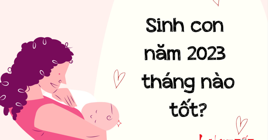 sinh-con