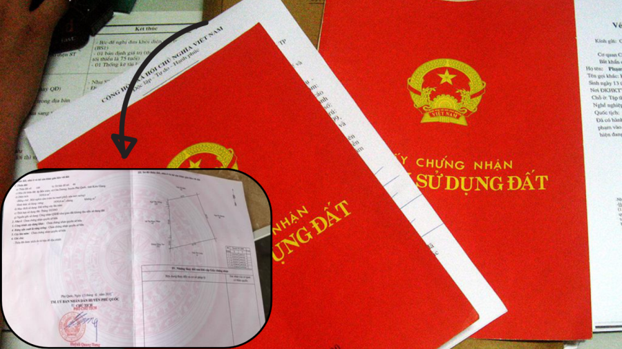 so-do4