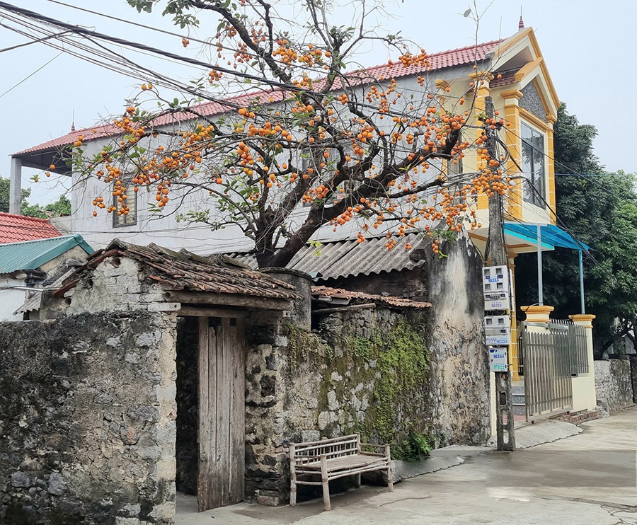 cay-hong