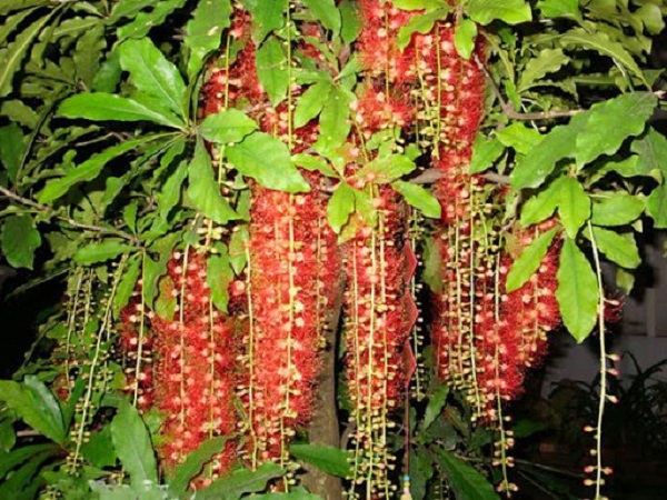 loc-vung3