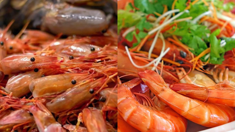 dau-tom-co-tot-khong
