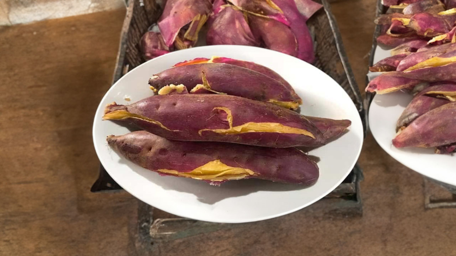 khoai-lang