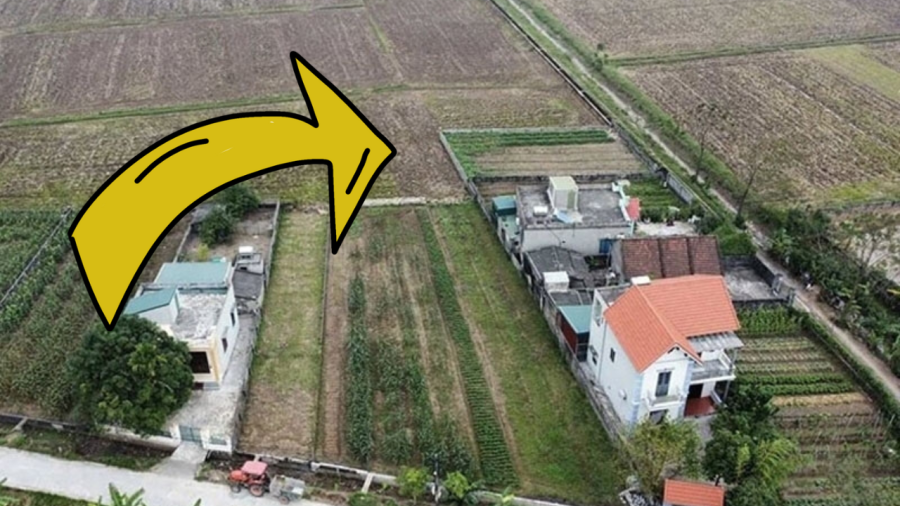 nha-tam3