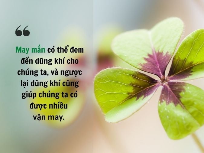 may-man3