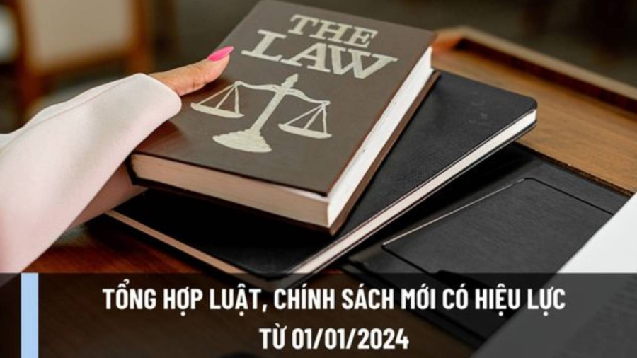 luat-2024