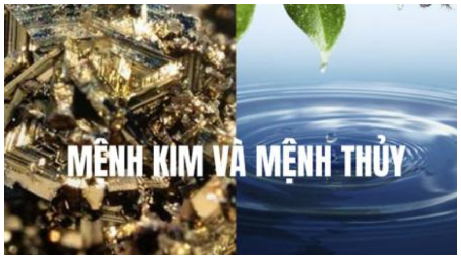 tra menh thuy