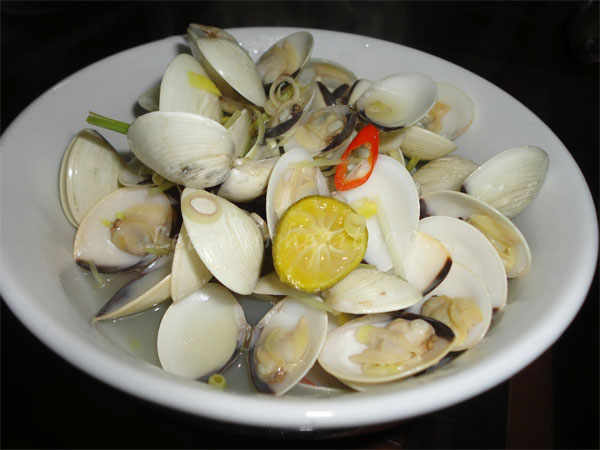 ngao1