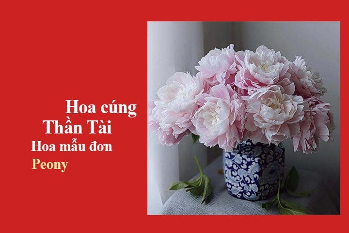 hoa-cung-than-tai