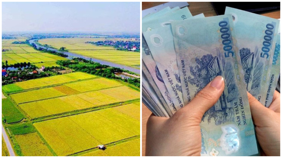 10 truong hop duoc mien theu su dung dat