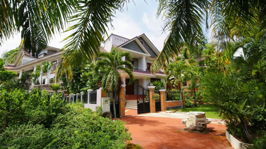 cay-thanh-long