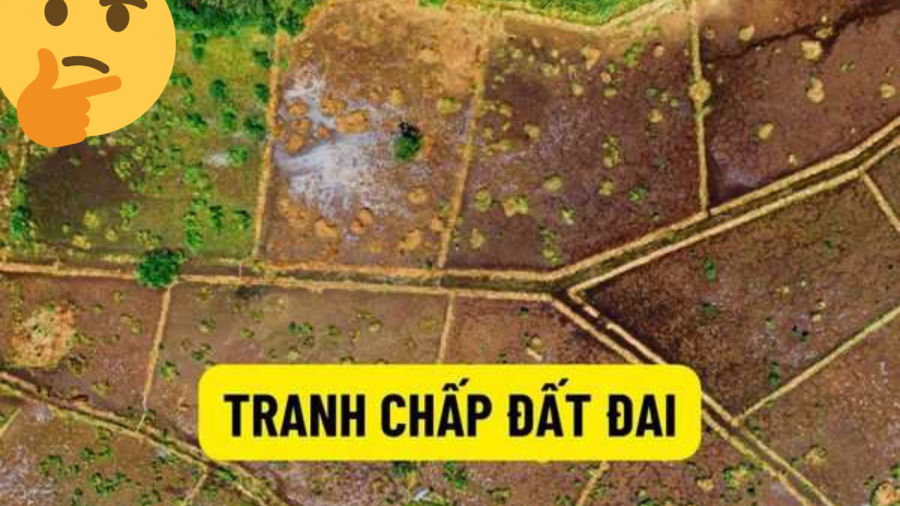 dat-dai