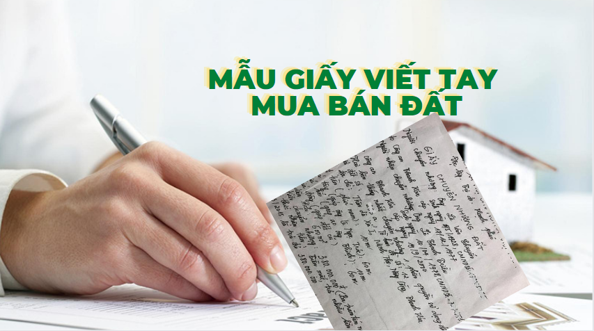 muabandatgiaytay