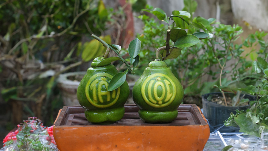 buoi-hinh-thu-khac-chu