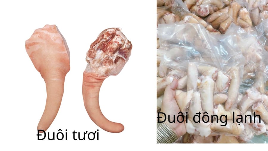 duoi-lon-dong-lanh