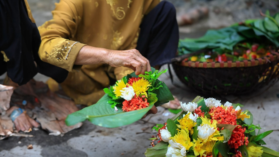 hoa-di-tao-mo
