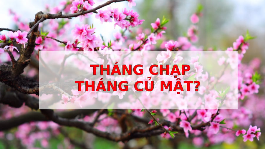 thang-chap-thang-cu-mat-02