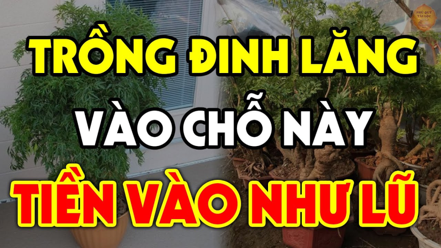 dinh-lang4