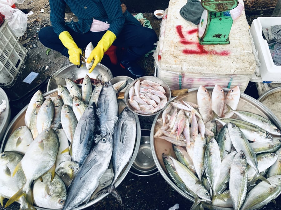 loai-ca-bien-ngon-dinh-duong-1