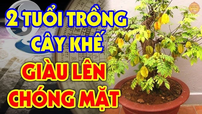 trong-khe