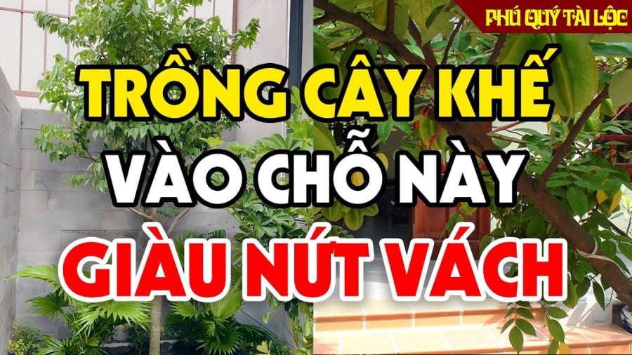 trong khe cho nay hut loc