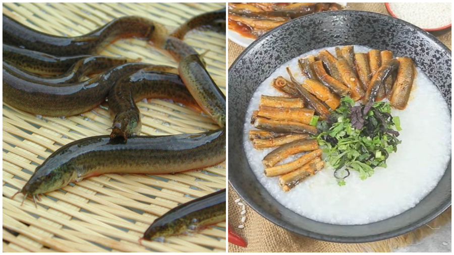 ca menh danh sam nuoc