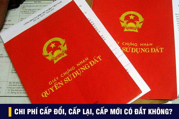 Chi_phi_cap_doi,_cap_lai,_cap_moi_so_do_2405203801
