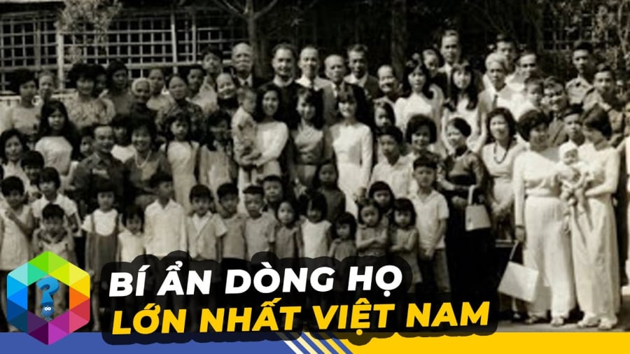 dong-ho