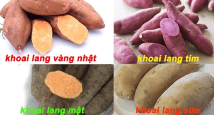 khoai lang