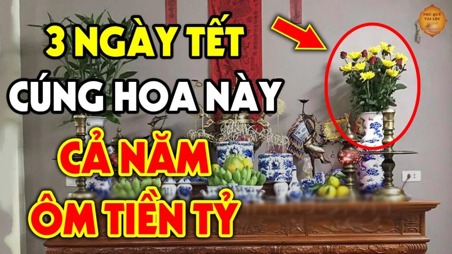 cam hoa