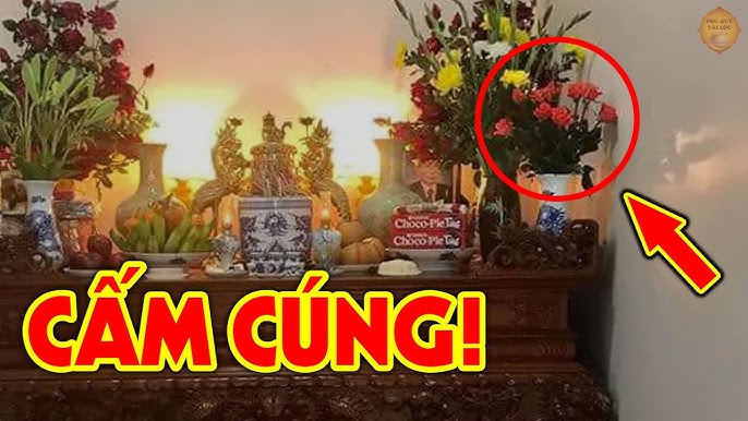 hoa cung