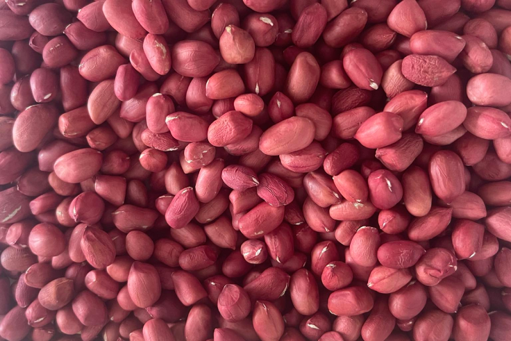 lac