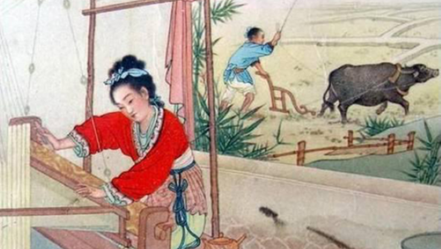 dan ba cui dau dan ong lo nguc1_chung
