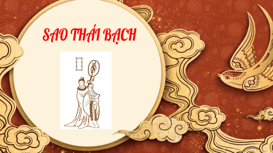 thai-bach-01