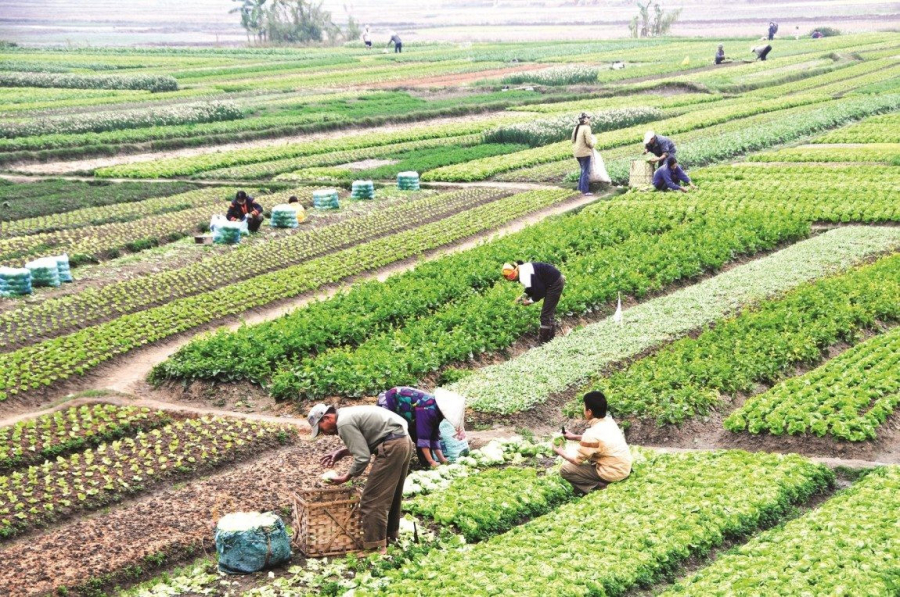 tu-nam-2025-dat-nong-nghiep-co-the-duoc-boi-huong-bang-nha-o-2