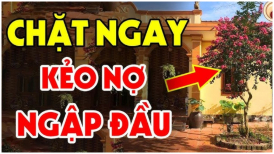 3 khong trong truoc cua 3 thu khong dat trong nha