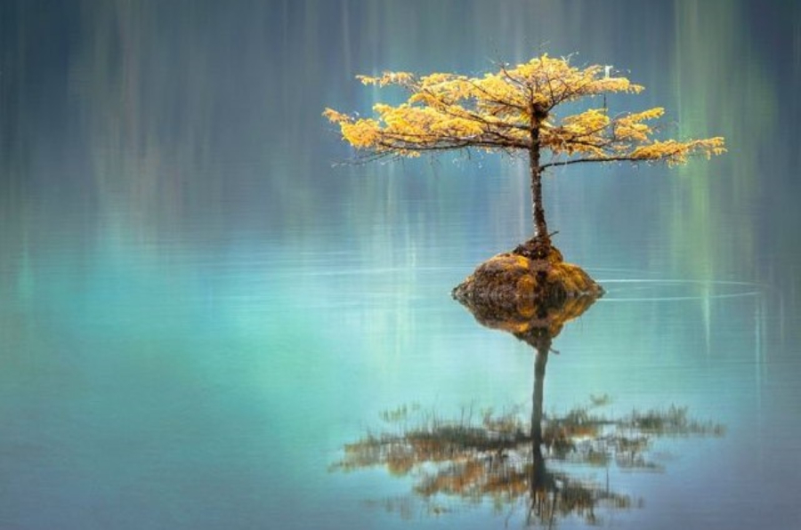 nhan nhin2