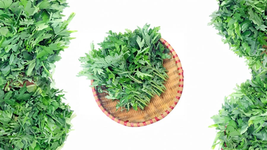 rau-ngai=cuu