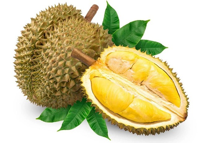 sau-rieng-nguoi-gia-170690356480