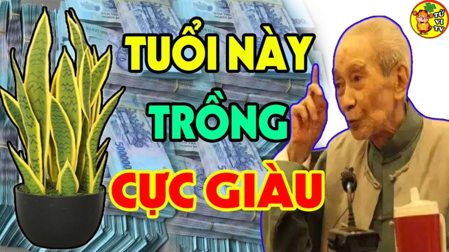 luoi-ho4
