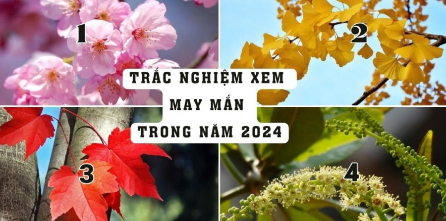 trac nghiem
