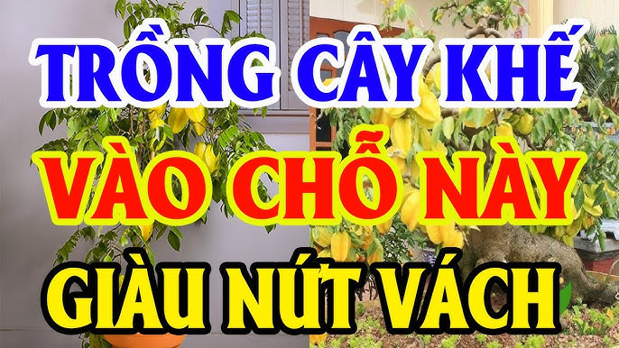 trong khe