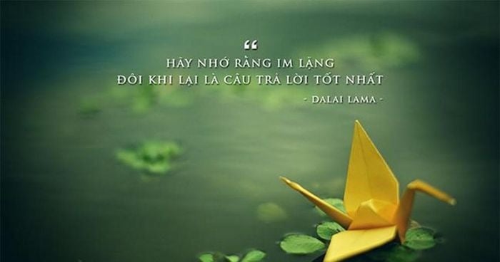 b9ea3db982f56bab32e4