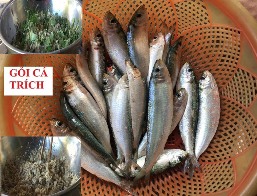 ca-trich