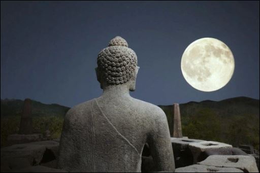 nhan-sinh