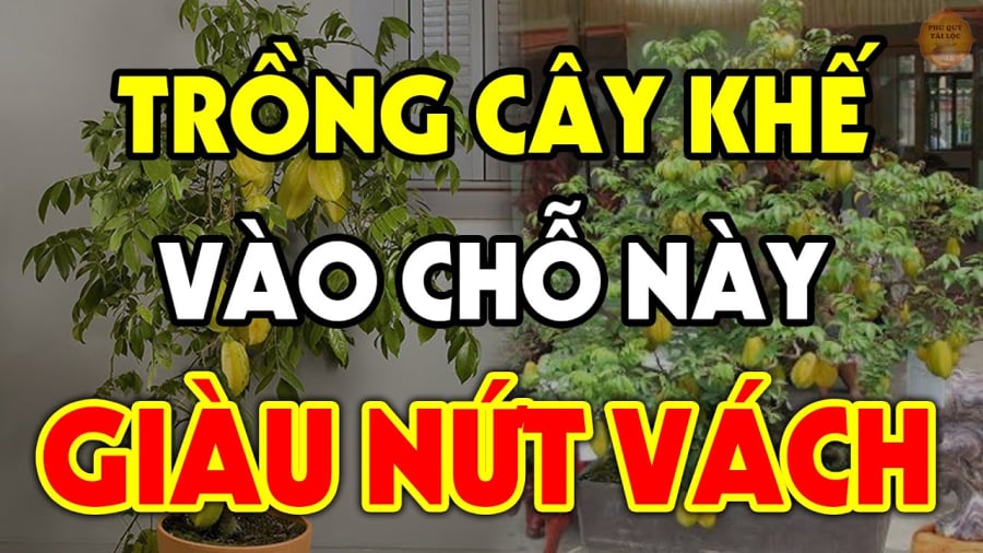 2 vi tri trong khe giau co