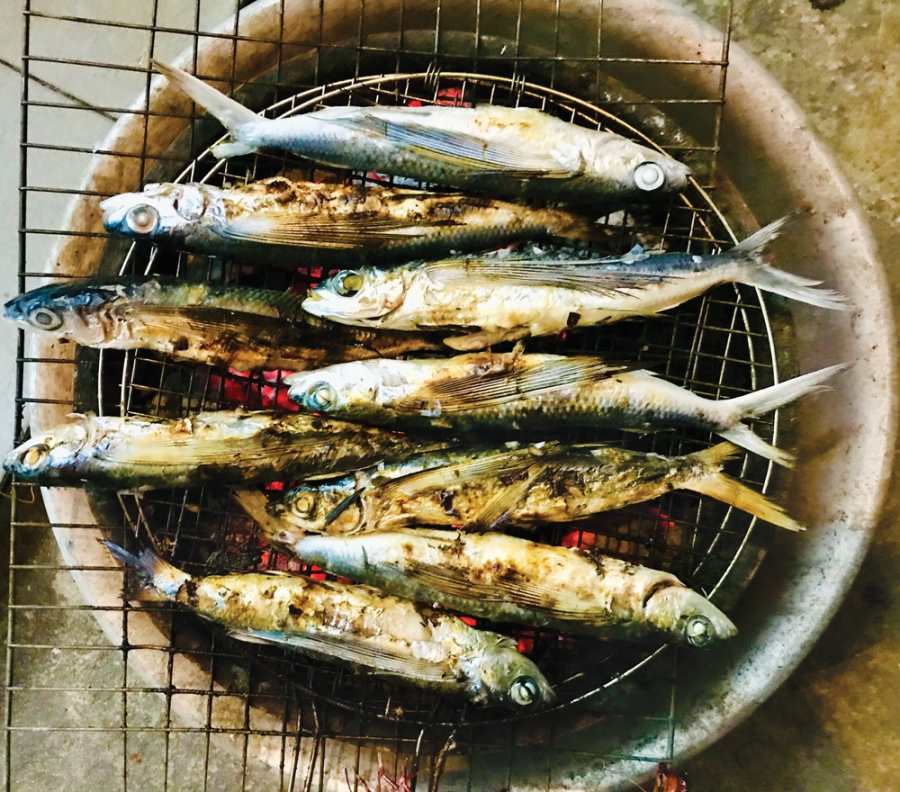 Cá chuồn mang hương vị thơm ngon độc đáo